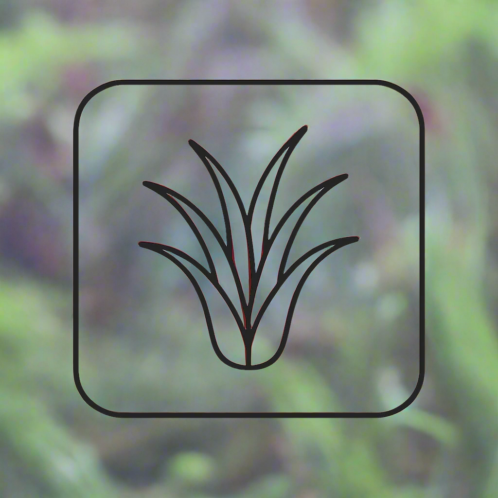 Brachycaulos (Select)